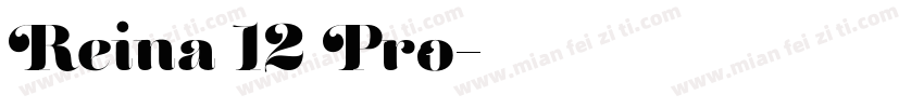 Reina 12 Pro字体转换